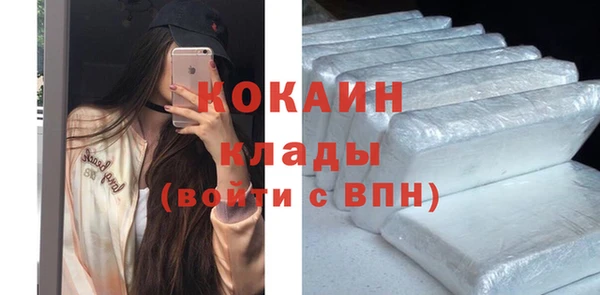 твердый Арсеньев