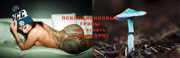 а пвп мука Армянск