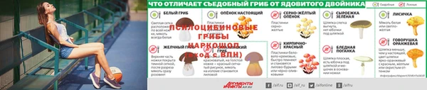 а пвп мука Армянск