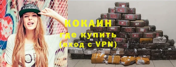 твердый Арсеньев